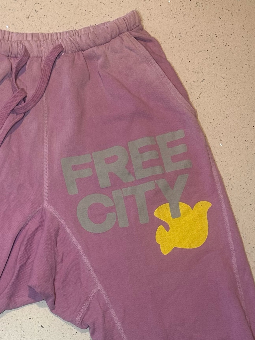 FREECITY SUNFADES pocket sweatpant in like new condition!